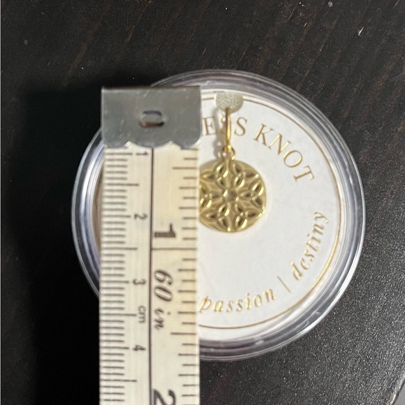 Alex and Ani Endless Knot Charm - Picture 3 of 3